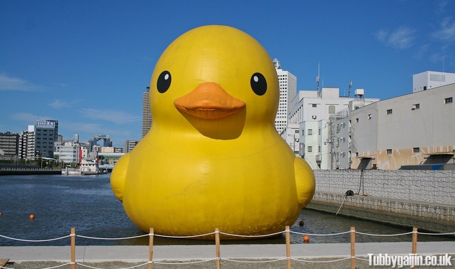 The giant duck returns to Osaka!