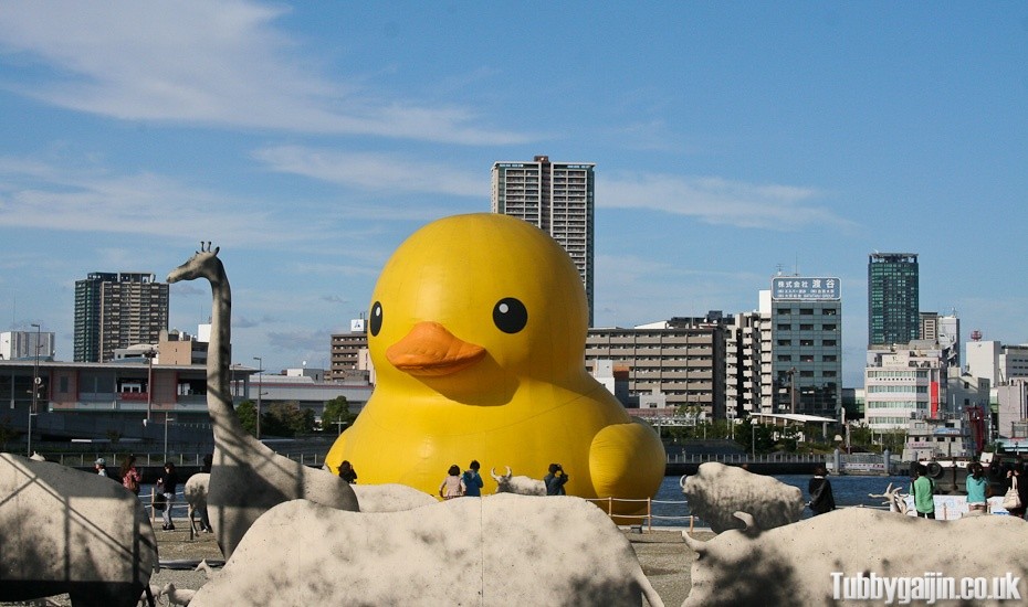 The giant duck returns to Osaka!