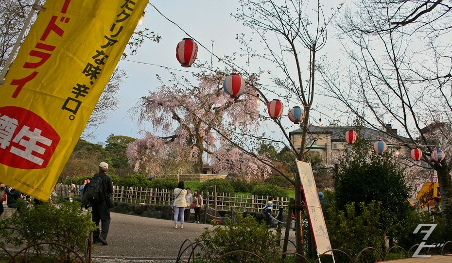 Hanami in Kyoto 2014 - Maruyama Koen