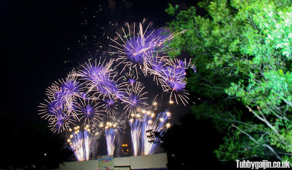 Naniwa Yodogawa Fireworks Festival 2013
